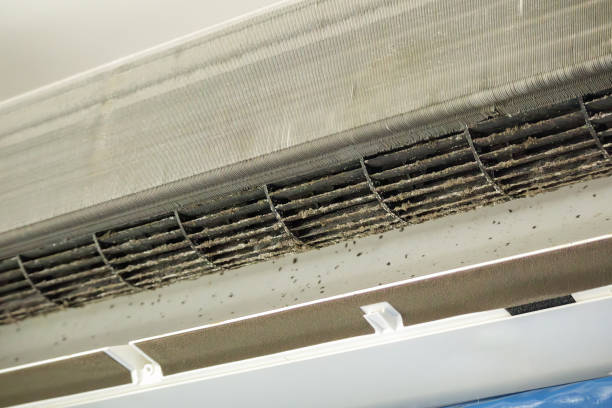 Best Affordable HVAC Duct Cleaning  in Kaibito, AZ