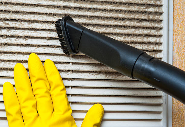 Best Affordable Air Duct Cleaning  in Kaibito, AZ